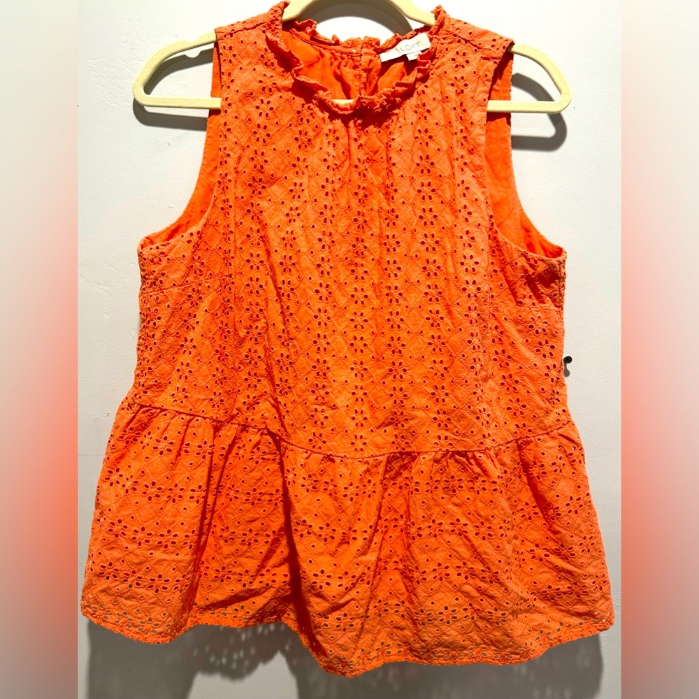 Bright Loft Coral blouse